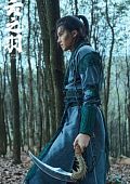 Ван Лэ Фу (Wang Le Fu)